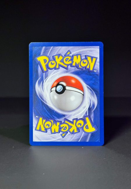 Dresseur Baie Ballon