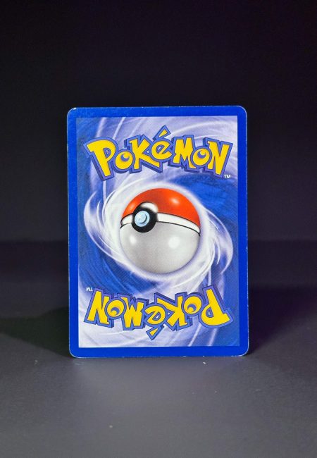 Dresseur La revanche de Chen, L’imposteur