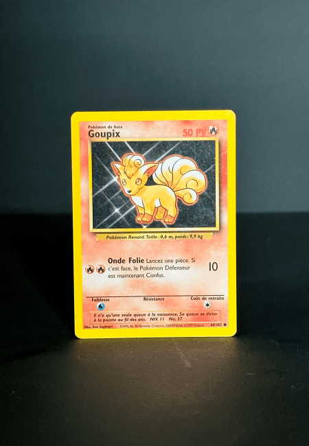 Goupix niv. 11